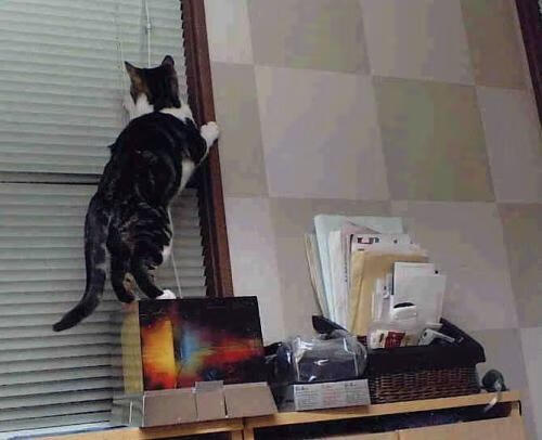 潜力新星：年轻球员在比赛中的爆发表现，潜力型选手