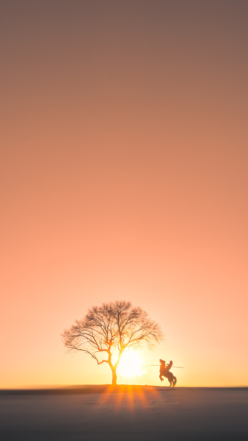 潜力新星：年轻球员在比赛中的爆发表现，潜力型选手