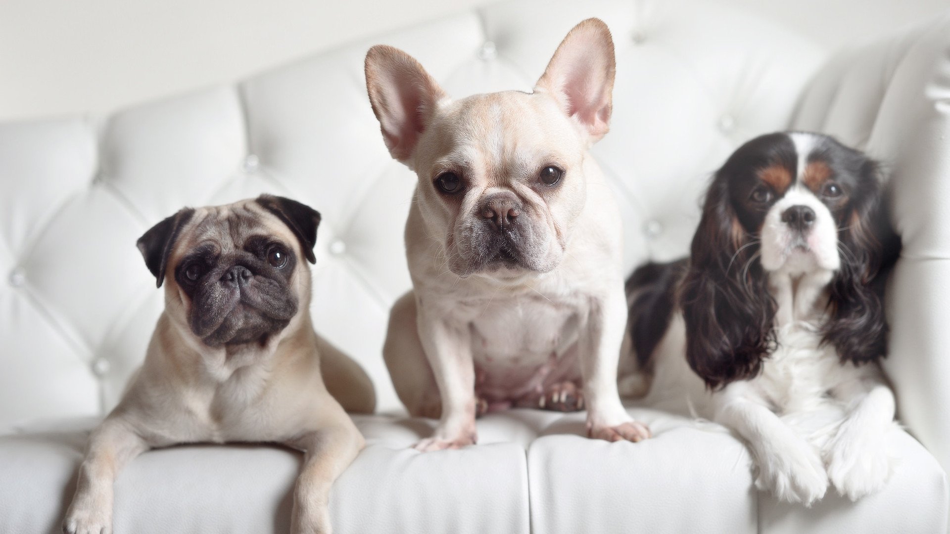 世界杯经典瞬间：动人心弦的精彩片段精彩不断，世界杯经典比赛视频